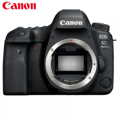 佳能(Canon) 6D Mark II 单反套机（100MM F/2.8L IS USM微距）